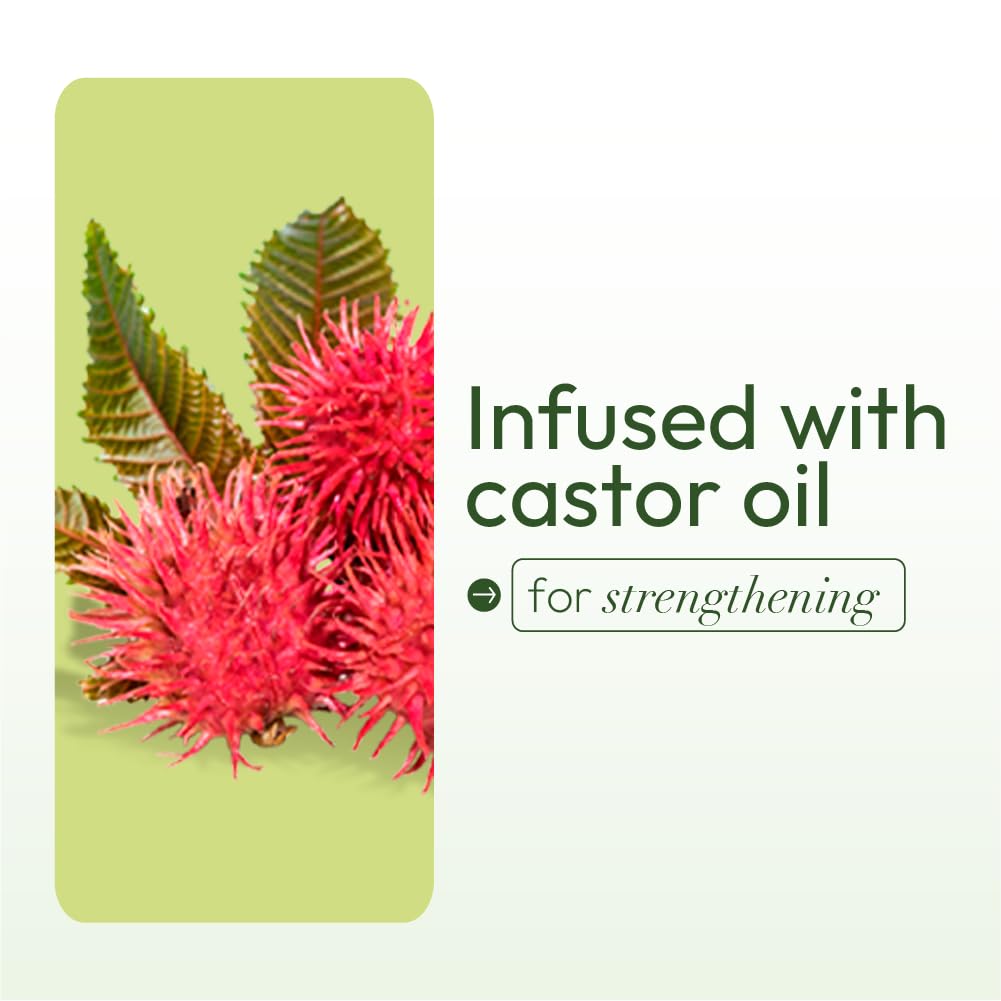 Organic Root Stimulator Olive Oil Hair Dress Cream, 6 Ounce, 170 g x-pression