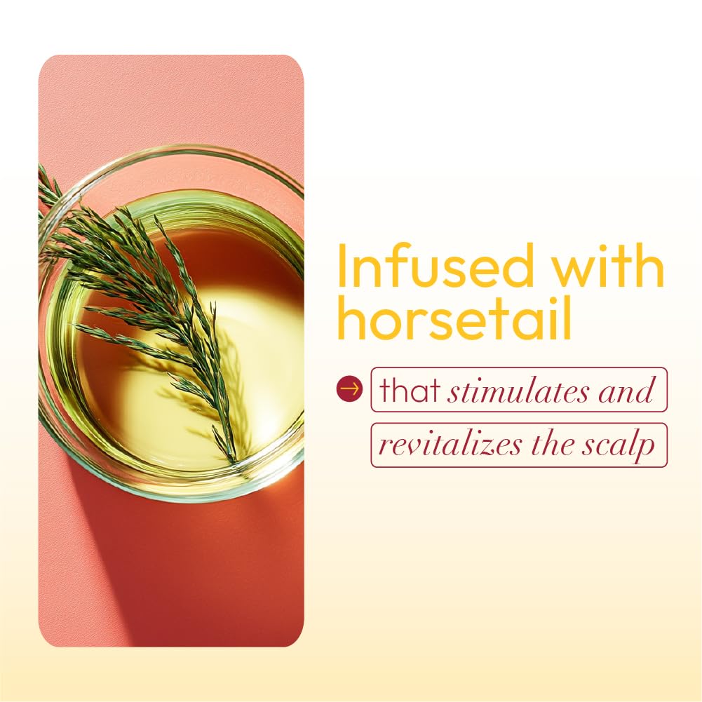 ORS HaiRestore Fertilizing Temple Balm with Nettle Leaf and Horsetail Extract, 2 Ounce, 57 g x-pression