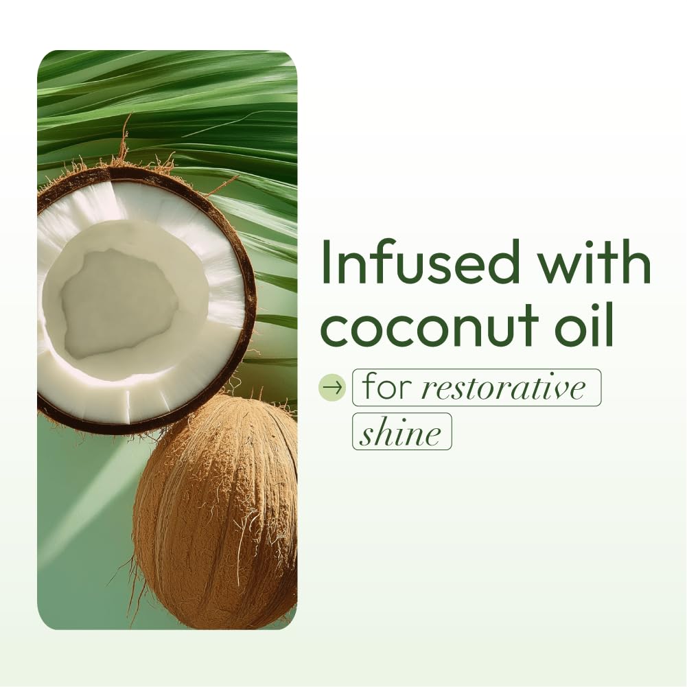 Organic Root Stimulator Olive Oil Smooth-n-Hold Pudding, 13 Ounce x-pression