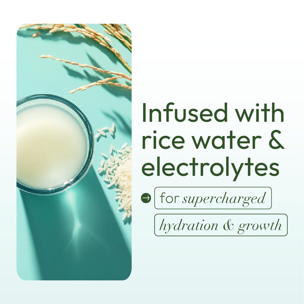 ORS Olive Oil Max Moisture Leave-In Conditioner with Rice Water and Electrolytes for Supercharged Hair Hydration 16.0 Ounce x-pression