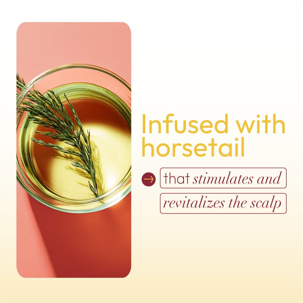 Organic Root Stimulator Hair Fertilizer with Nettle Leaf and Horsetail Extract, 6 oz , 170 g x-pression