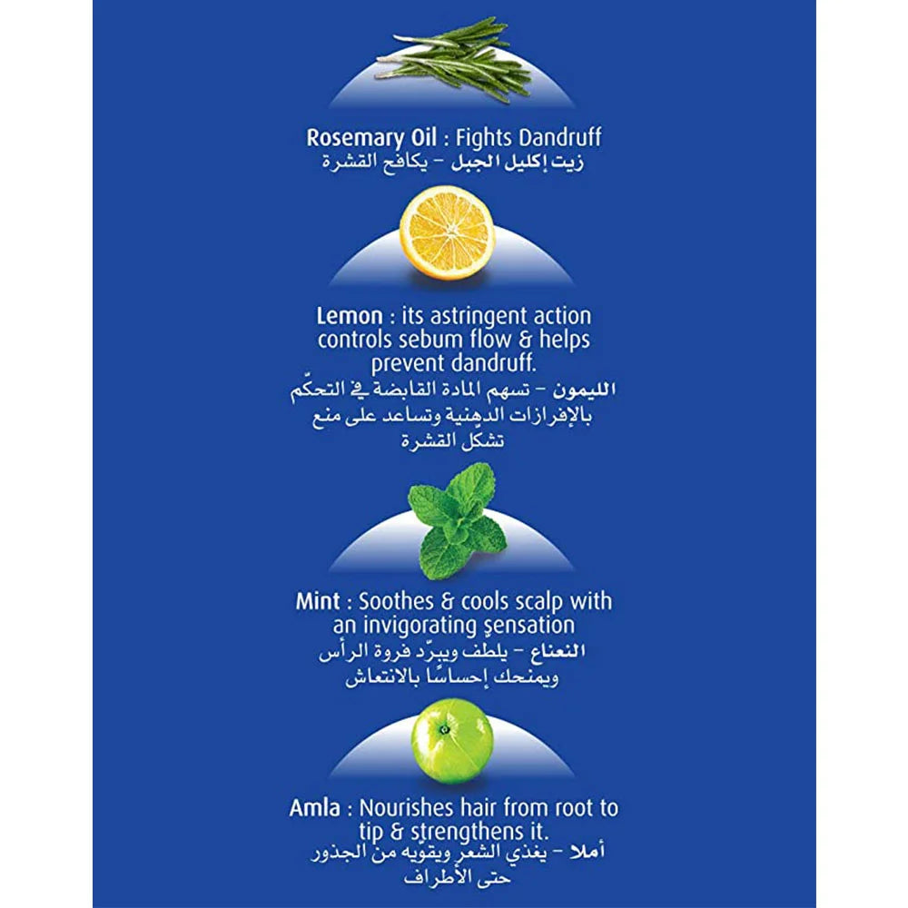 Dabur Amla Anti Dandruff Hair Oil, 200 mL x-pression