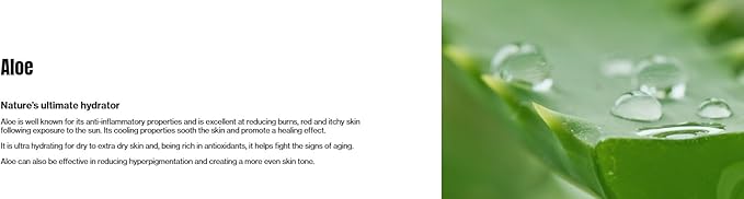 American Dream Aloe Vera Butter Body Cream with Shea and Vitamin E 500ml