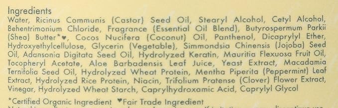 SHEA MOISTURE Jamaican Black Castor Oil Strengthen Grow & Restore Leave In Conditioner x-pression