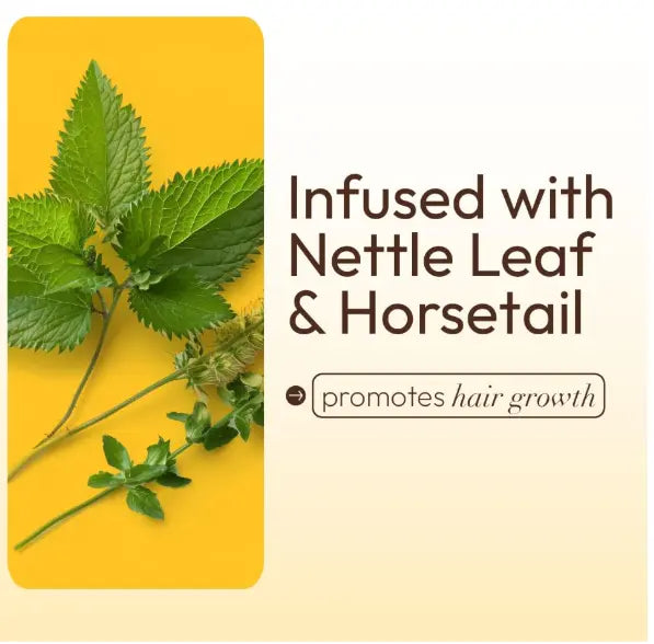 Ors Hair Mayonnaise Treatment, 16oz Jar x-pression